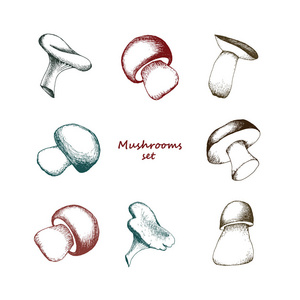 復(fù)古風(fēng)潮下的匠心獨(dú)運(yùn) 水暖業(yè)務(wù)圖標(biāo)的矢量美學(xué)與品牌敘事